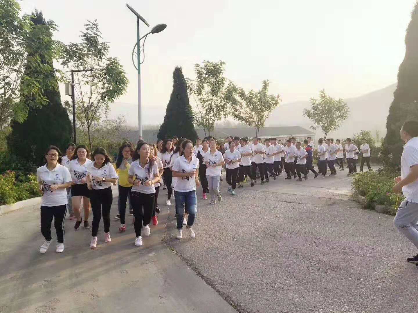 1546259179350622.jpg 1543577588450757.jpg