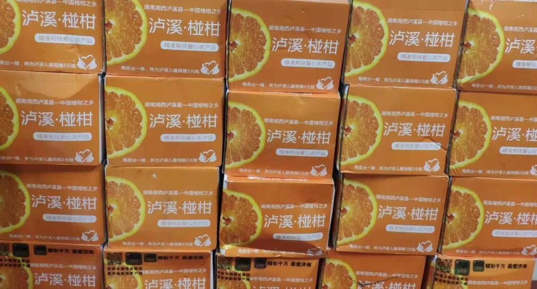 1546264286840367.jpg 1544409189123243.jpg