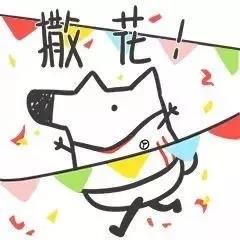 1548121115222861.jpg 6.jpg