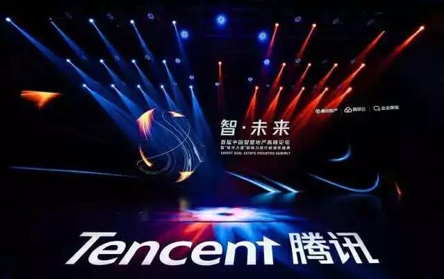 1553673620112239.jpg 10.jpg