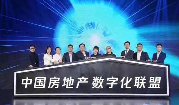 1553673661900483.jpg 13.jpg