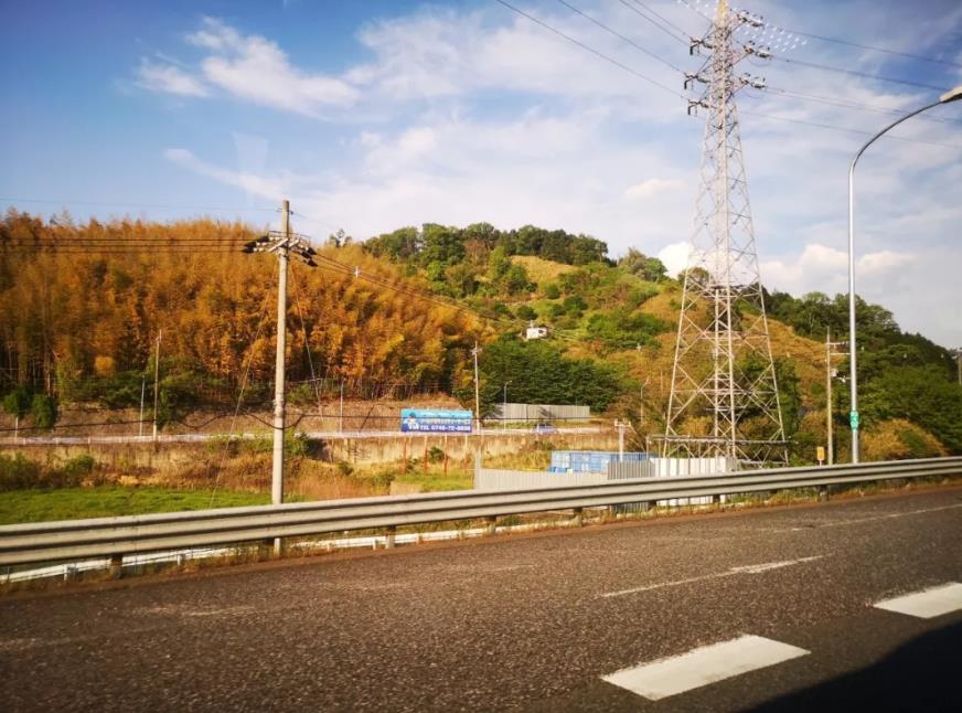 1557451842921545.jpg 2.jpg