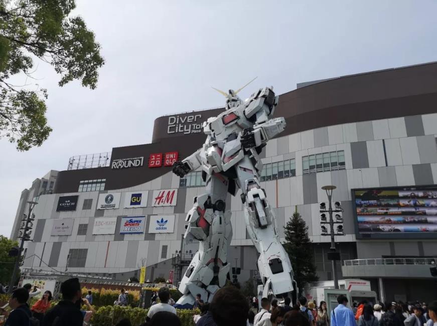 1557451961874461.jpg 11.jpg