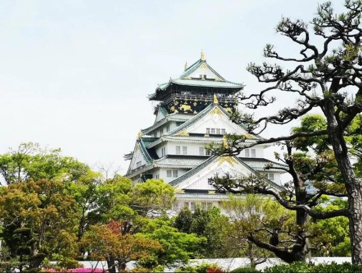 1557452051637631.jpg 12.jpg