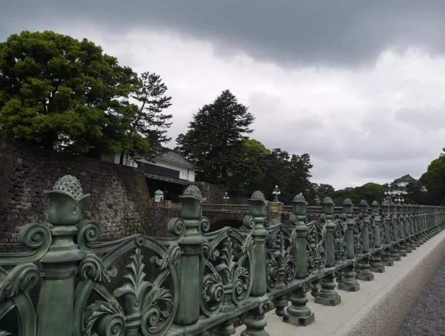 1557452064632731.jpg 14.jpg