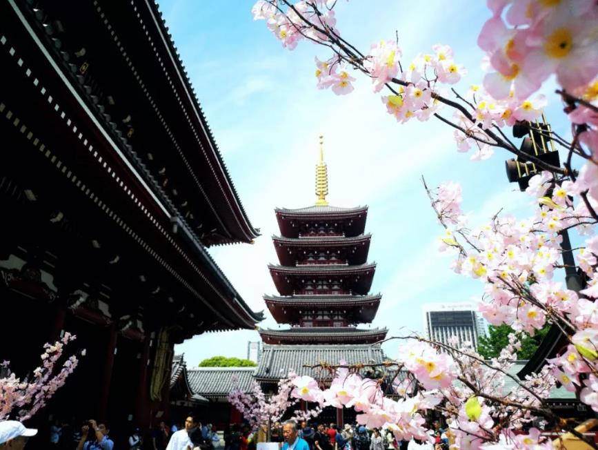 1557452069426057.jpg 15.jpg