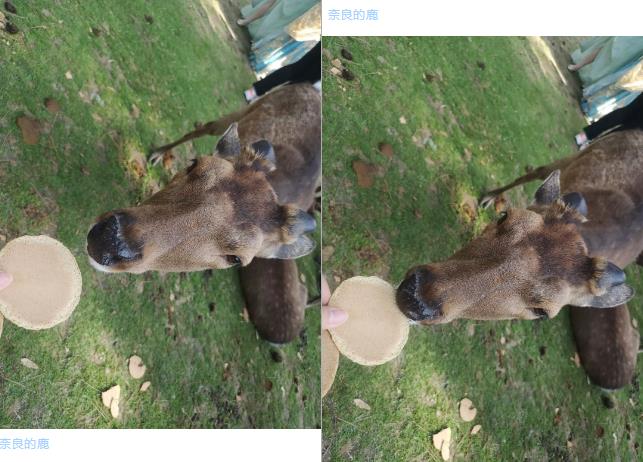 1557452160279753.jpg 20.jpg