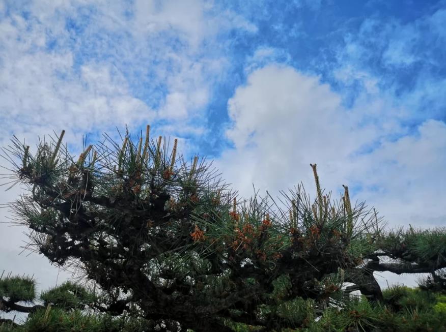 1557452189863869.jpg 23.jpg