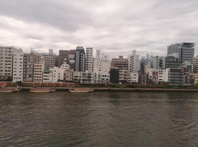 1557452222143727.jpg 26.jpg