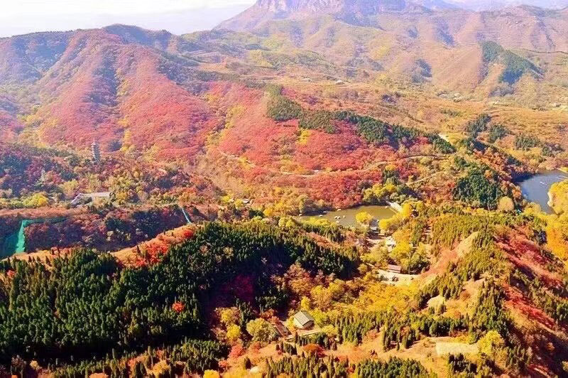 1604032653659839.jpg 微信圖片_20201022180416.jpg