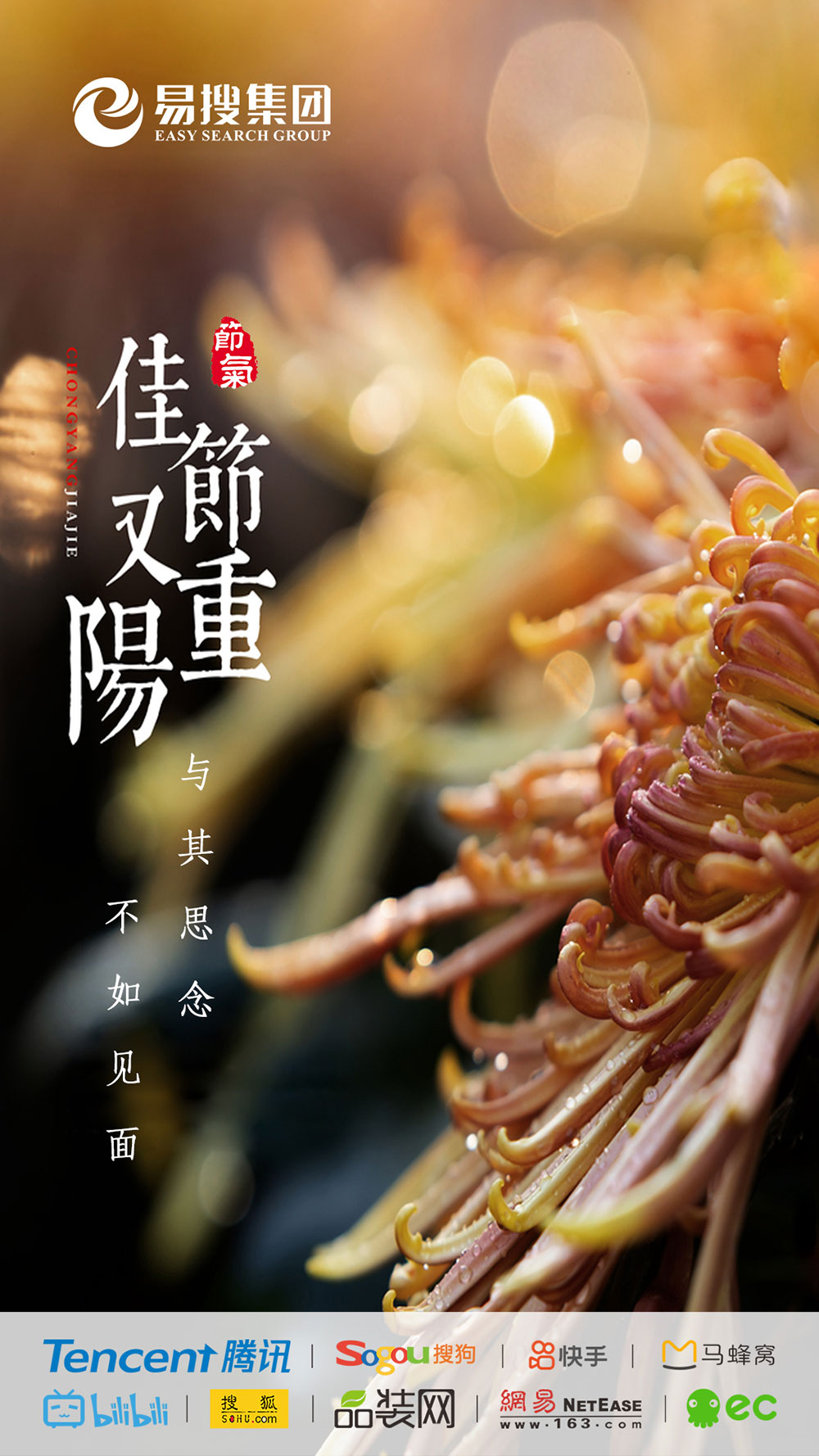 1604032926957383.jpg 重陽節(jié)1.jpg